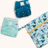 Baby Beehinds - BBH Two Swim Nappy plus Wetbag bundle